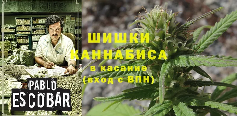 где продают наркотики  Волжск  Бошки Шишки SATIVA & INDICA 